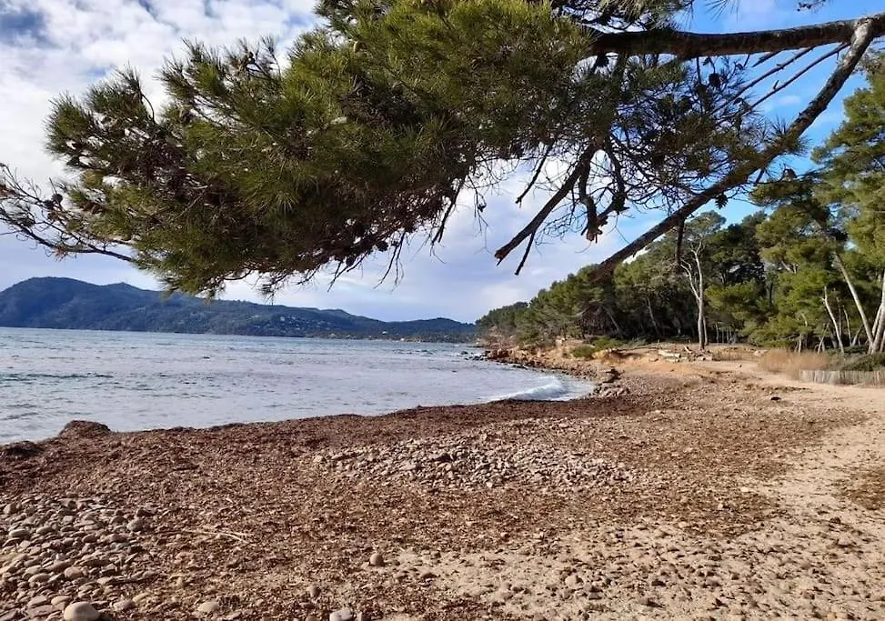 Appartement De 50 M2 Cosy Et Moderne A 100 M De La Plage Сен-Мандрие-сюр-Мер Франция