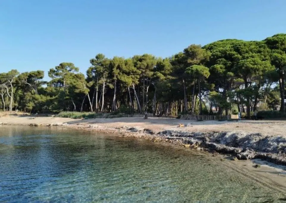 Appartement De 50 M2 Cosy Et Moderne A 100 M De La Plage Сен-Мандрие-сюр-Мер Апартаменты