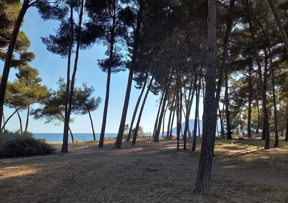 Appartement De 50 M2 Cosy Et Moderne A 100 M De La Plage Saint-Mandrier-sur-Mer 0*,  France