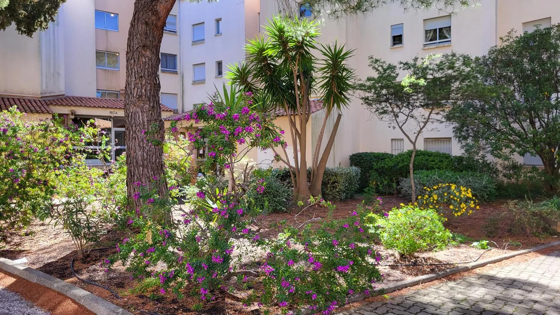 Appartement De 50 M2 Cosy Et Moderne A 100 M De La Plage Saint-Mandrier-sur-Mer 0*,  France